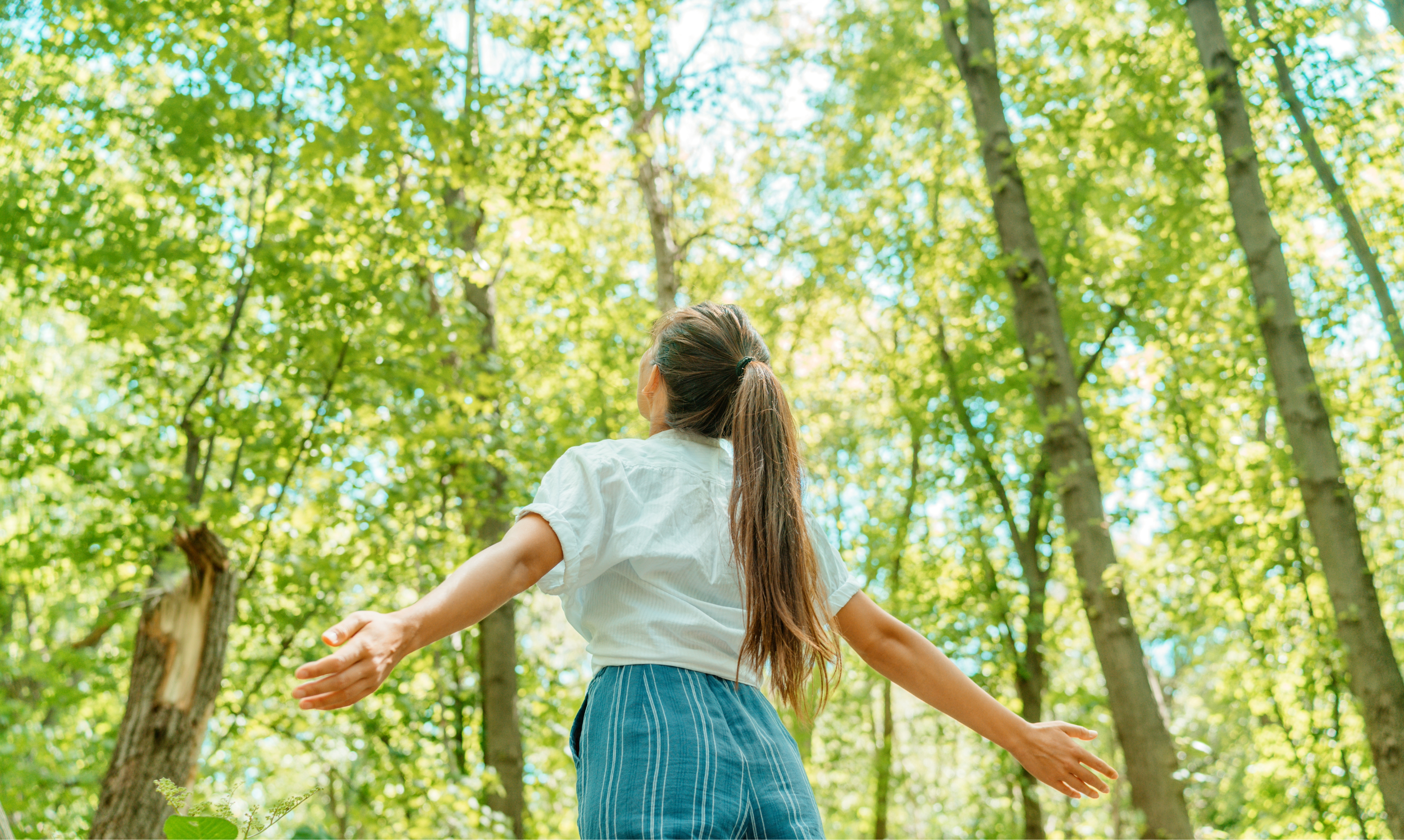 Mujer saludable en el bosque con brazos abiertos