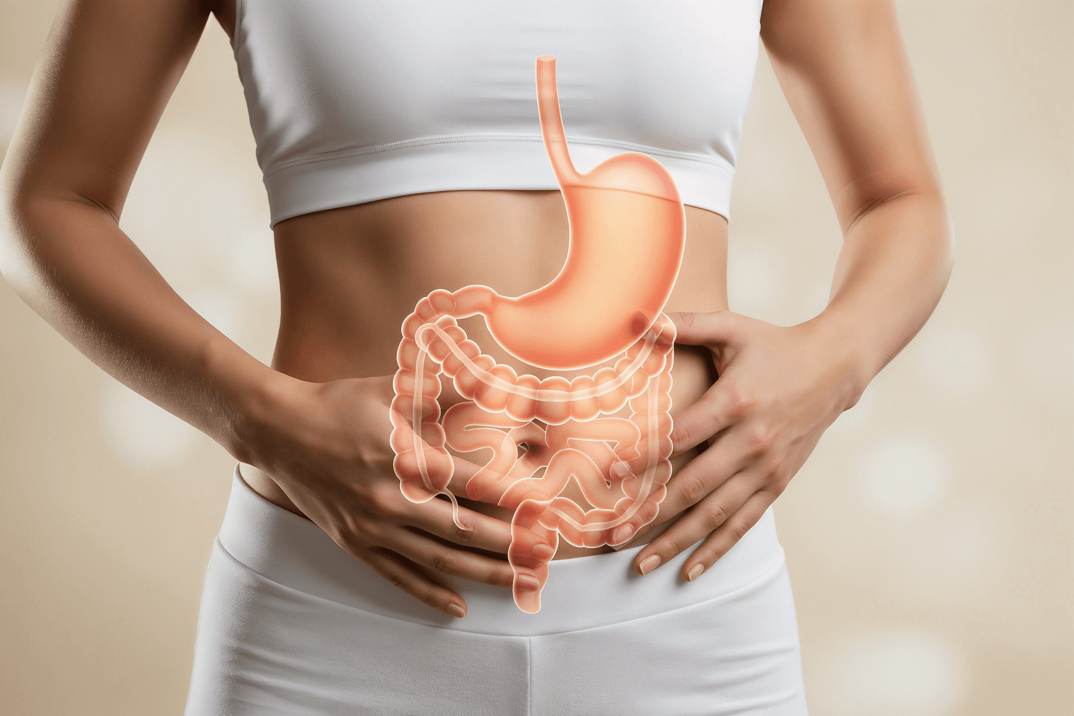 Absorción y Digestión